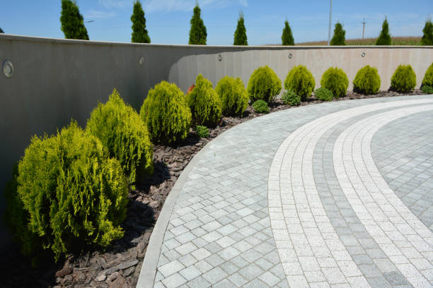 Best Driveway Pavers Near Me  in Clear Lake, IA